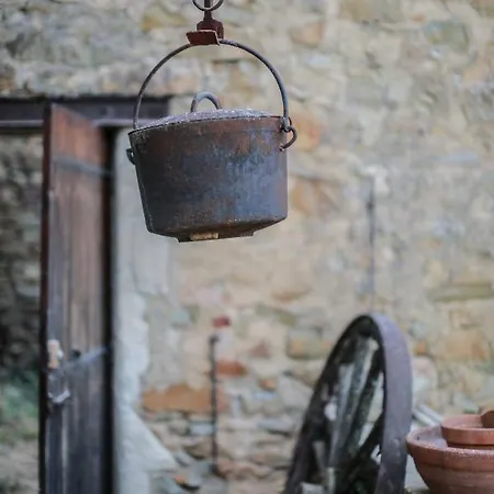 לינה וארוחת בוקר Les Yourtes De Provence *