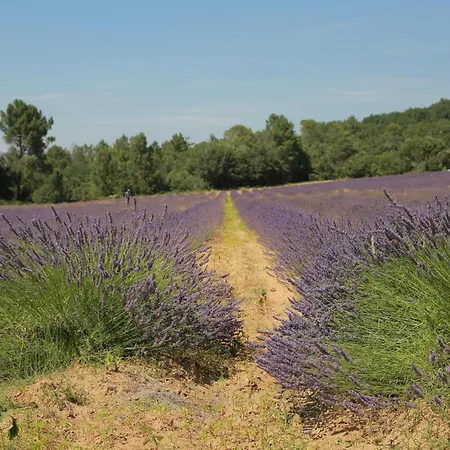 לינה וארוחת בוקר Les Yourtes De Provence