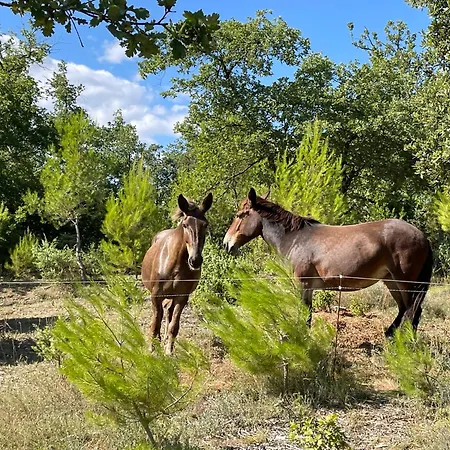 Bed & Breakfast Les Yourtes De Provence *
