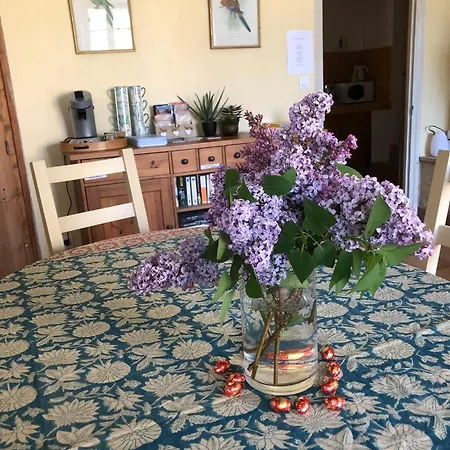Bed and Breakfast Les Yourtes De Provence Saint-Paulet-de-Caisson