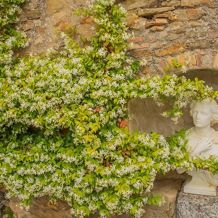 Les Yourtes De Provence Bed & Breakfast