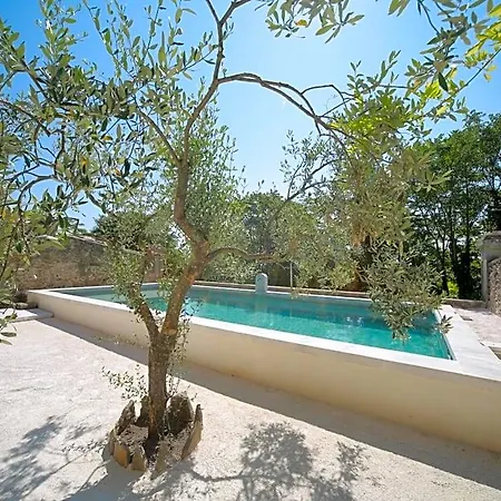 Les Yourtes De Provence Bed and breakfast *