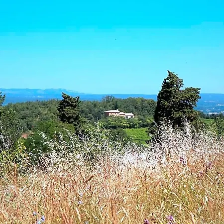 Les Yourtes De Provence Bed and breakfast
