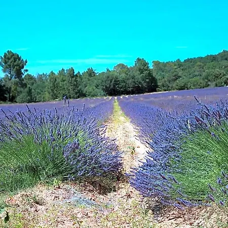 Les Yourtes De Provence * Saint-Paulet-de-Caisson