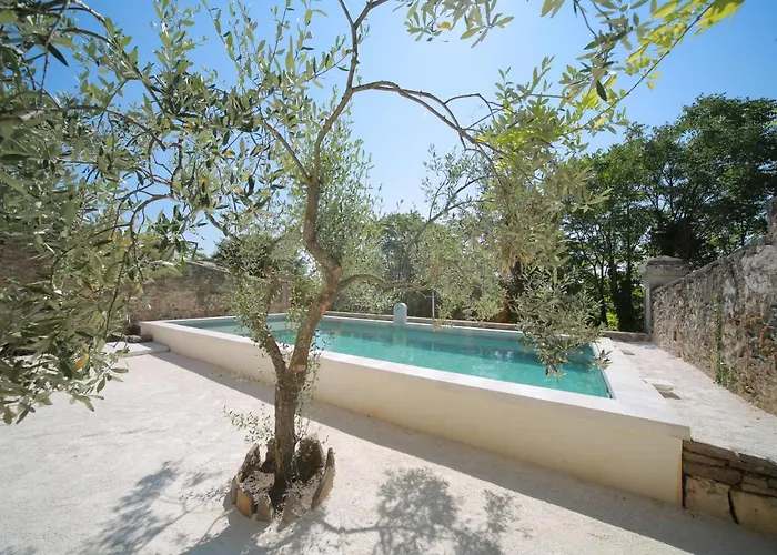 Les Yourtes De Provence Bed and Breakfast