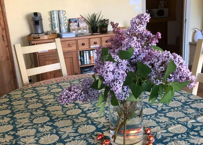 Bed and Breakfast Les Yourtes De Provence Saint-Paulet-de-Caisson